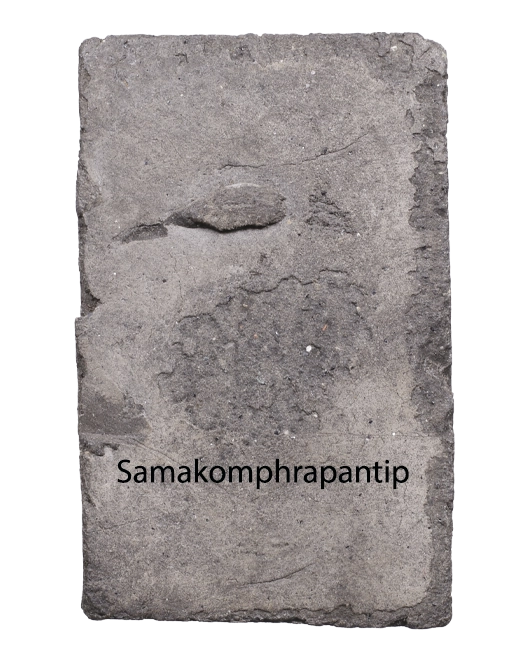 Phra LP Ngern ( 5 Bddha) | หลวงพ่อเงิน | B.E. 2516