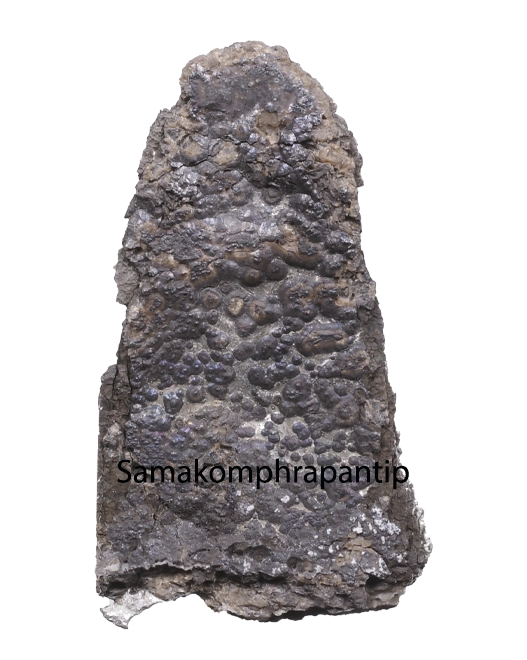 Phra Kru Wat Ratburana  | วัดราชบูรณะ  |  600 years